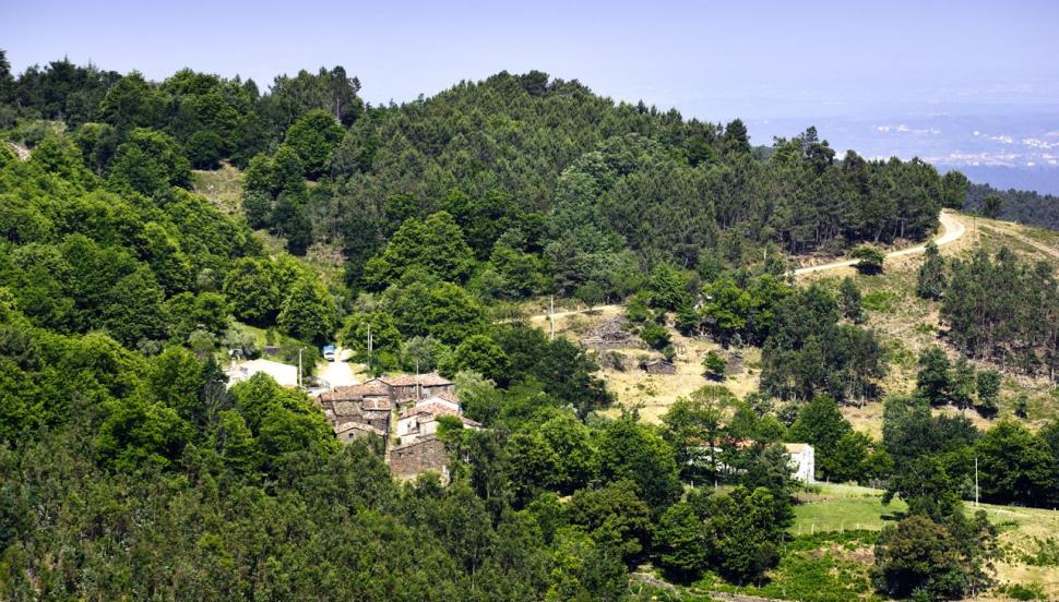 Chiqueiro