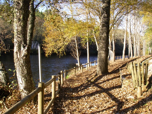 Secarias